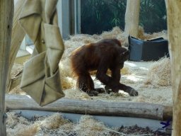 Tiergarten Schönbrunn am 05.03.2026